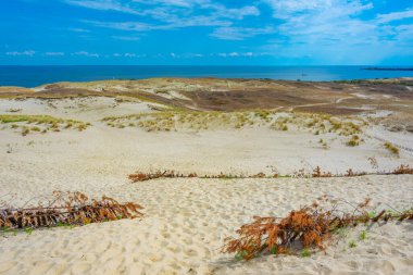 Litvanya 'da Curonian tükürüğünde parnidis kum tepesi.