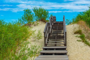 Litvanya 'daki Curonian tükürüğündeki Parnidis kumulunda köprü.