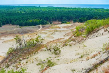 Litvanya 'da Curonian tükürüğünde parnidis kum tepesi.