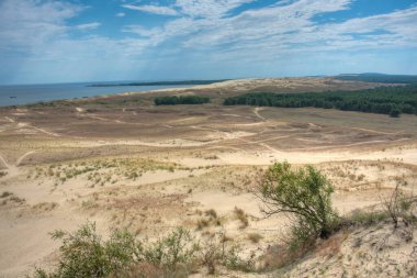 Litvanya 'da Curonian tükürüğünde parnidis kum tepesi.