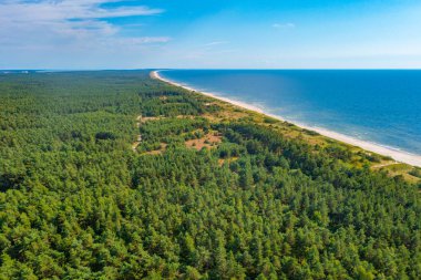 Litvanya 'daki Curonian tükürüğündeki kumsal manzarası.
