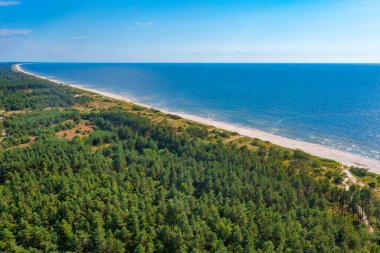 Litvanya 'daki Curonian tükürüğündeki kumsal manzarası.