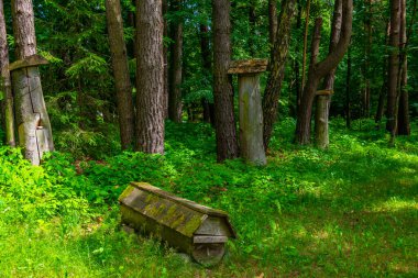 Kaunas 'taki Litvanya Açık Hava Müzesi' nde içi boş arı kovanı..