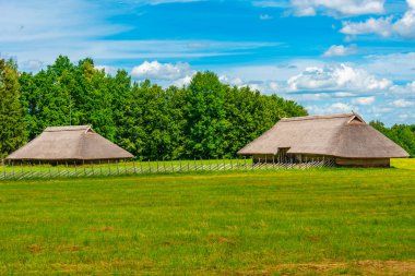 Kaunas 'taki Litvanya Açık Hava Müzesi' nde çiftlik evi..
