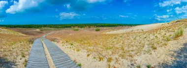 Litvanya 'daki Curonian tükürüğünde Nagliai kum tepesi.