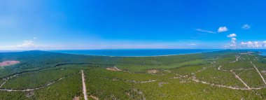 Litvanya 'daki Curonian tükürük yarımadasının Panorama manzarası.