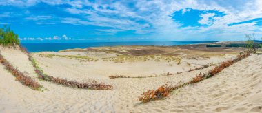 Litvanya 'da Curonian tükürüğünde parnidis kum tepesi.
