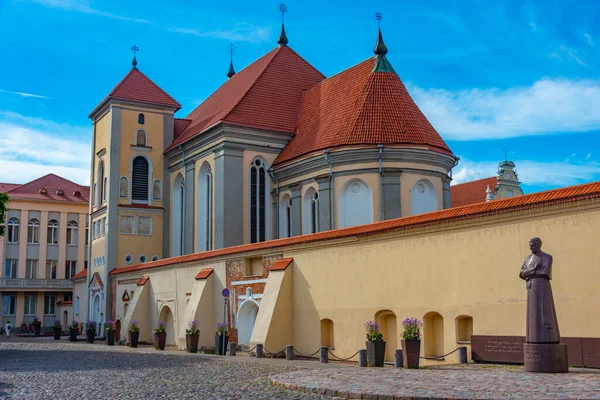 Kostel Nejsvětější Trojice Kaunasu Litva — Stock fotografie