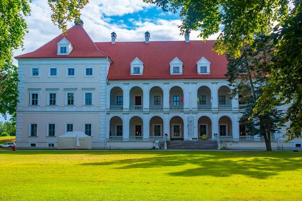 Veduta Del Castello Birzai Lituania — Foto Stock