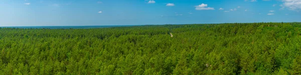 Vista Aérea Del Paisaje Forestal Isla Saaremma Estonia —  Fotos de Stock