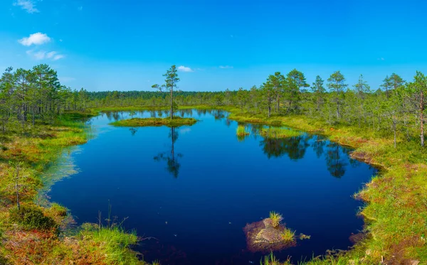 Estonya 'daki Virü bataklık milli parkının manzarası.