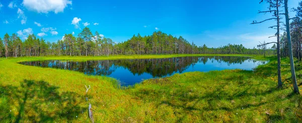Landscape Viru Bog National Park Estonia — Stock Photo, Image