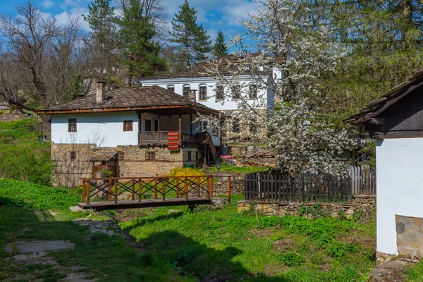 Bulgaristan Daki Bozhentsi Mimari Rezervinde Geleneksel Eski Evler — Stok fotoğraf