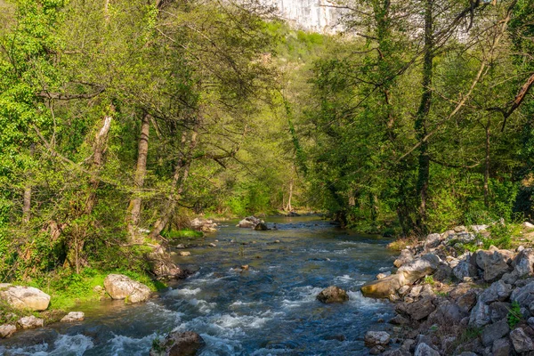 Valley Dryanovo River Bulgaria — Stock Photo, Image
