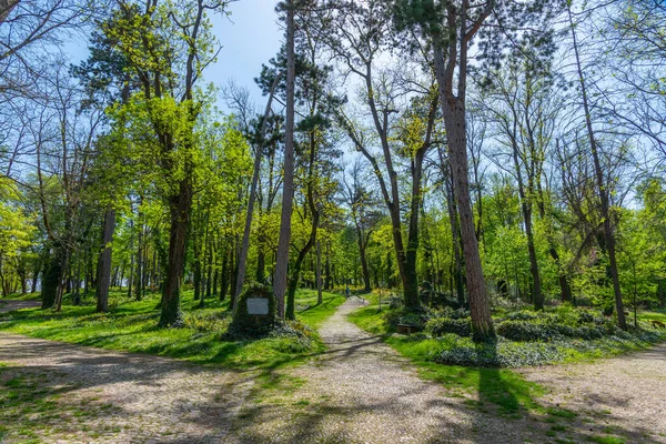 Vue Parc Skobelev Pleven — Photo