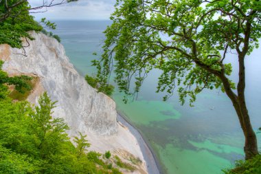 Danimarka 'da Mons Klint beyaz kayalıkları