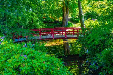 Danimarka 'da güneşli bir günde Egeskov' daki bahçeler izlendi.