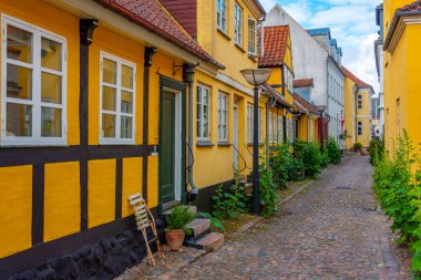 Danimarka 'nın renkli caddesi İbne.