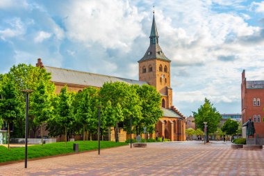 Danimarka 'nın Odense kentindeki St. Canute Katedrali.