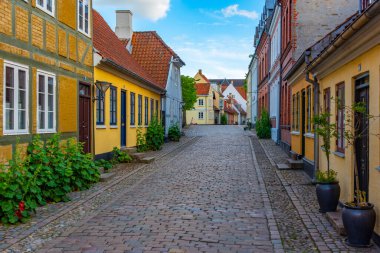 Danimarka, Odense 'nin merkezinde renkli bir cadde..