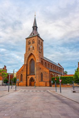Danimarka 'nın Odense kentindeki St. Canute Katedrali.
