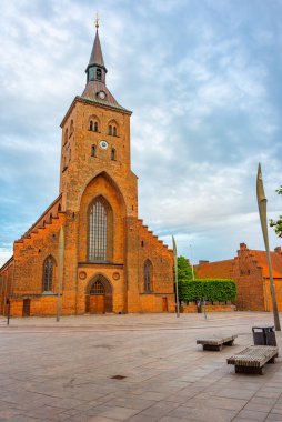 Danimarka 'nın Odense kentindeki St. Canute Katedrali.
