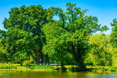 Danimarka 'daki Grasten Sarayı' nda yeşil bahçeler.