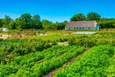 Danimarka 'daki Grasten Sarayı' nda mutfak bahçesi.