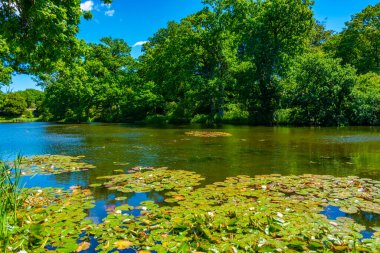 Danimarka 'daki Grasten Sarayı' nda yeşil bahçeler.