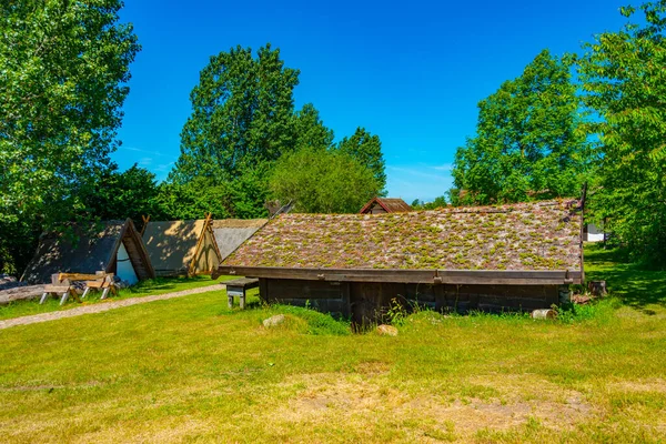 Reconstructed Viking Houses Trelleborg Denmark — Stock Photo, Image