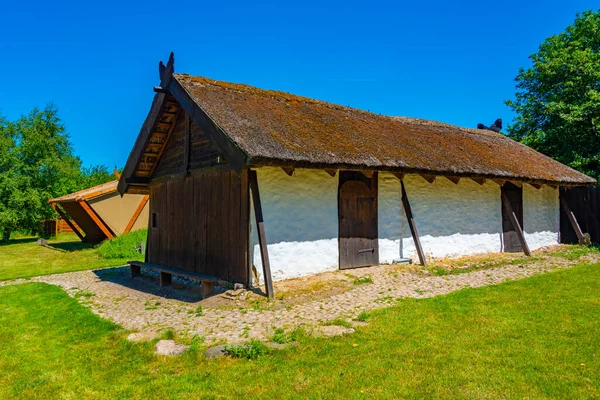 Восстановленные Дома Викингов Треллеборге Дания — стоковое фото