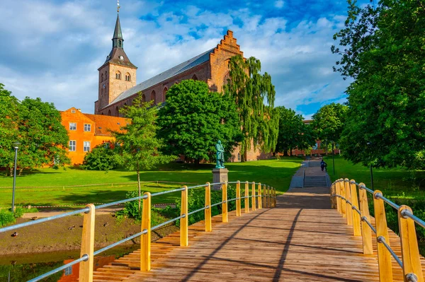 デンマークのオデンスにある聖カヌート大聖堂 — ストック写真