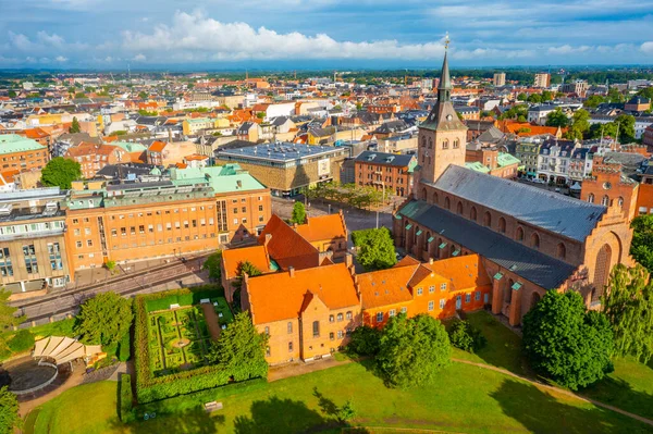 stock image Panorama view of St. Canute's Cathedral in Danish town Odense.