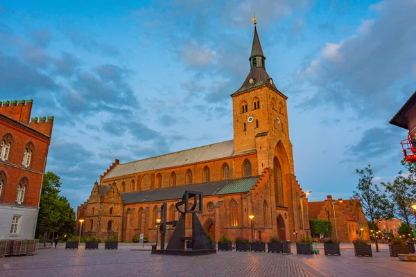 Sunset view of St. Canute\'s Cathedral in Danish town Odense.