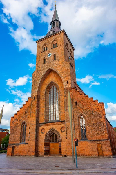 Cattedrale San Canuto Nella Città Danese Odense — Foto Stock