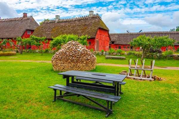 デンフィンスケ ランズビー野外博物館 オデンセの伝統的なデンマーク建築 — ストック写真