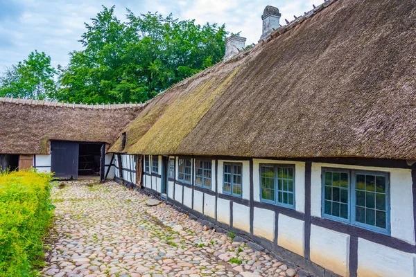 Den Fynske Landsby Υπαίθριο Μουσείο Παραδοσιακή Δανική Αρχιτεκτονική Στο Odense — Φωτογραφία Αρχείου
