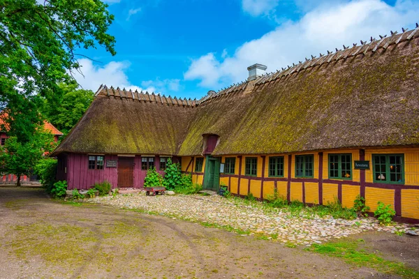 Den Fynske Landsby Freilichtmuseum Mit Traditioneller Dänischer Architektur Odense — Stockfoto