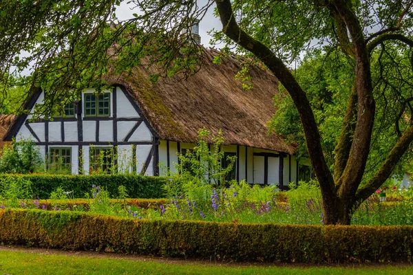 Den Fynske Landsby Open Air Museum Traditional Danish Architecture Odense — 스톡 사진