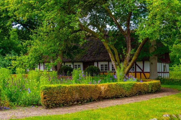Den Fynske Landsby Open Air Museum Traditional Danish Architecture Odense — Stock Photo, Image