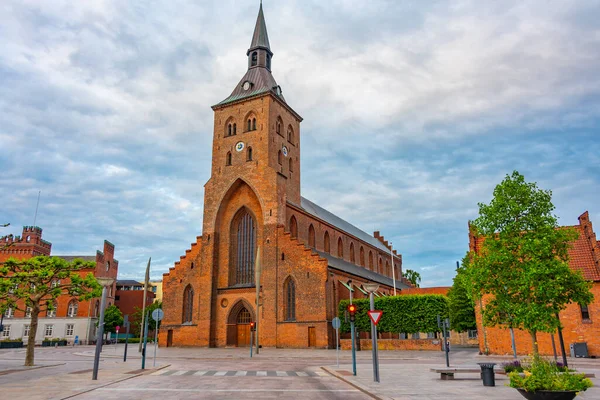 Catedral San Canuto Ciudad Danesa Odense — Foto de Stock