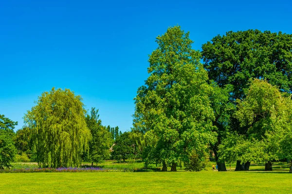 Gröna Trädgårdar Grastens Slott Danmark — Stockfoto