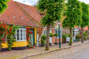 Danimarka 'nın geleneksel caddesi Mogeltonder