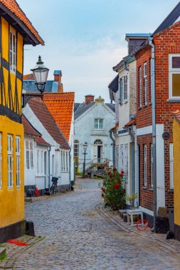 Ribe, Danimarka 'nın merkezindeki tarihi cadde.