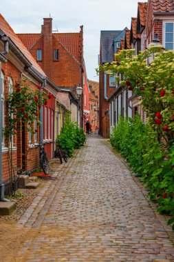 Ribe, Danimarka 'nın merkezindeki tarihi cadde.