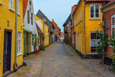 Ribe, Danimarka 'nın merkezindeki tarihi cadde.