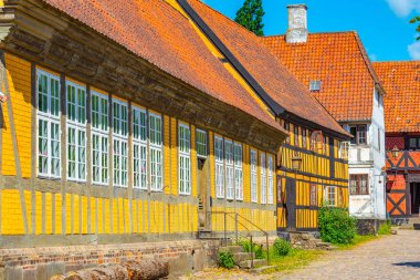 Danimarka 'nın Aarhus kentindeki açık hava müzesinin yanındaki Den Gamle' de renkli evler.