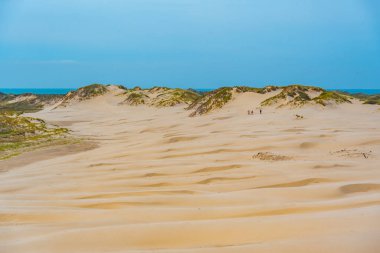 Danimarka 'da Rabjerg Mil kum tepeleri