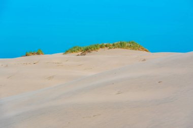 Danimarka 'da Rabjerg Mil kum tepeleri