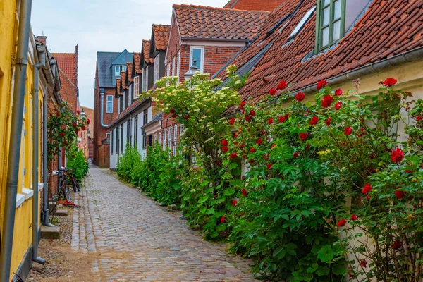 Calle Histórica Centro Ribe Dinamarca — Foto de Stock